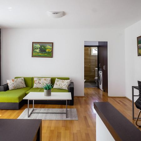 Apartament Family Rivulus 9 Baia Mare Ngoại thất bức ảnh