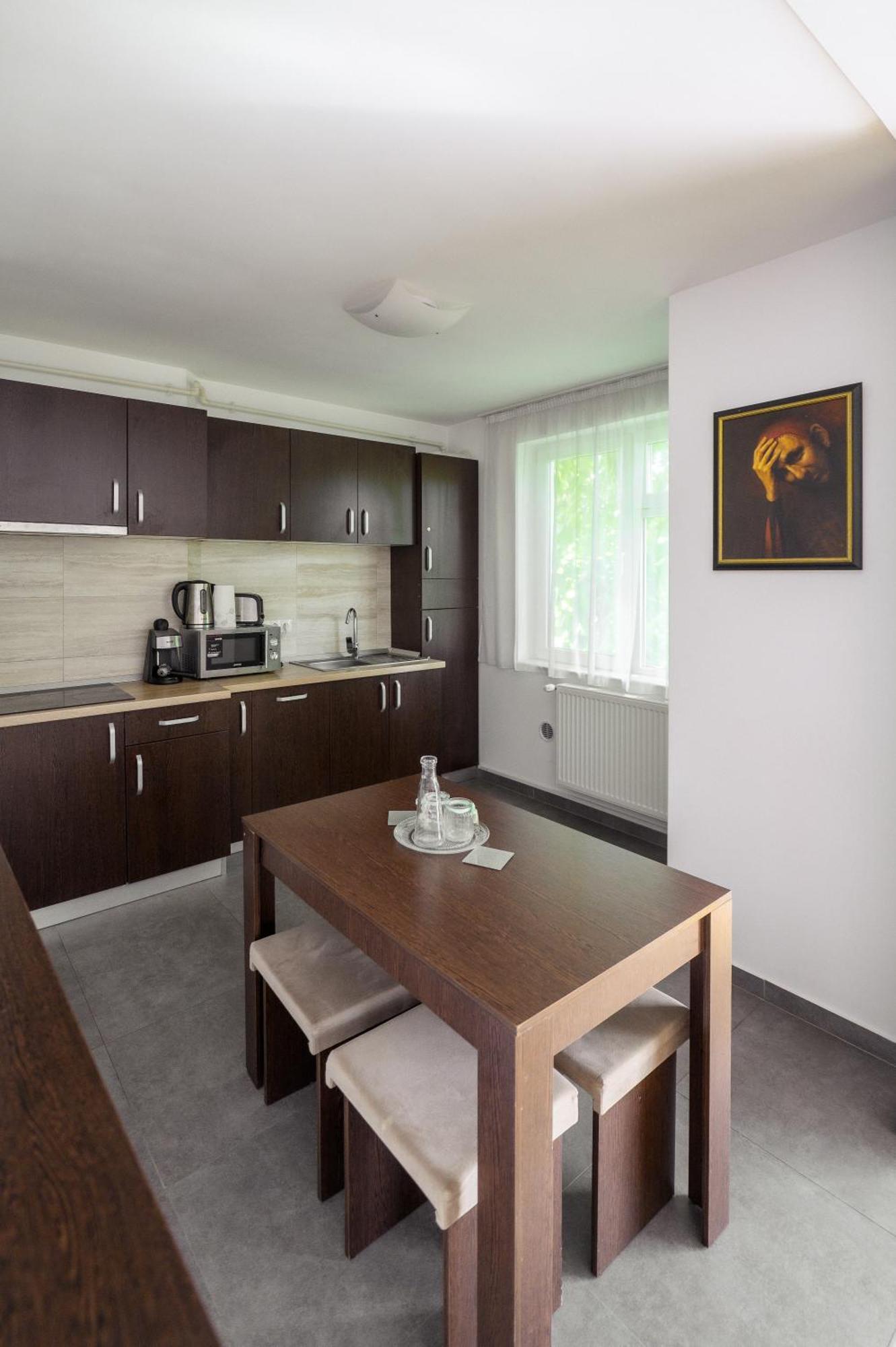 Apartament Family Rivulus 9 Baia Mare Ngoại thất bức ảnh