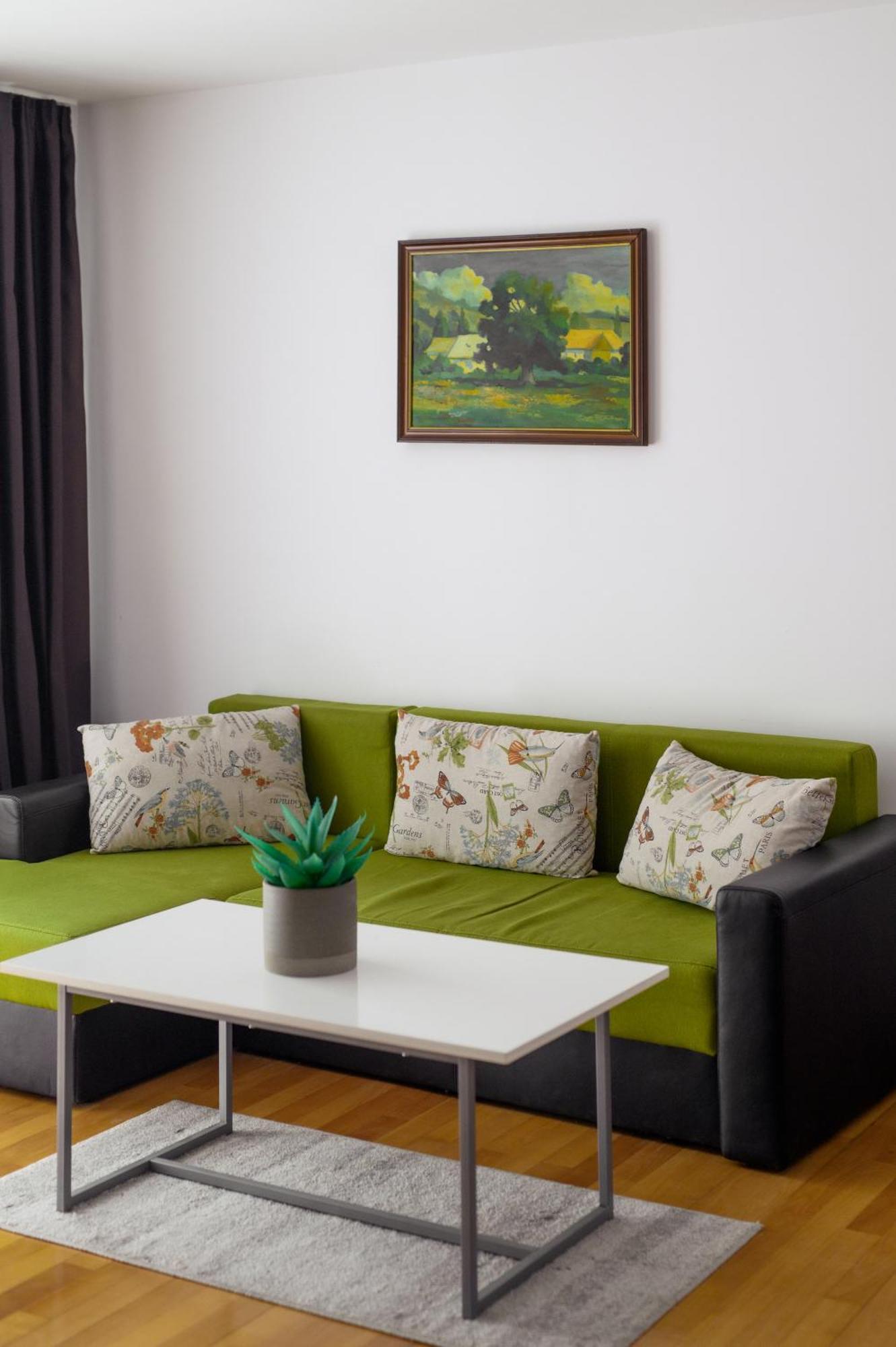 Apartament Family Rivulus 9 Baia Mare Ngoại thất bức ảnh